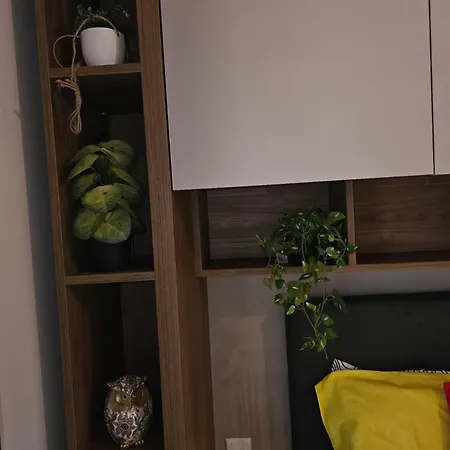 Patrizio 1 - Del
